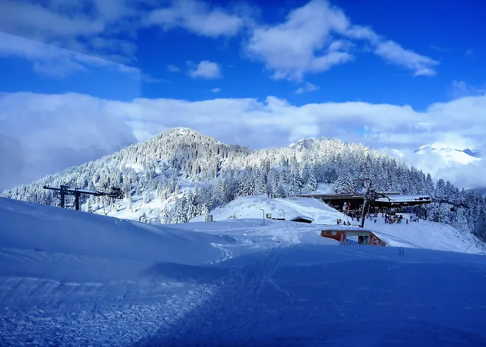 Chalet Hôtel du Bois